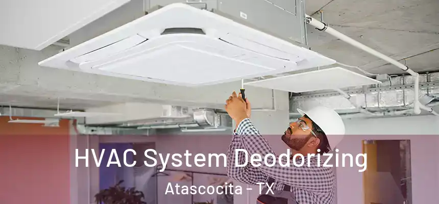 HVAC System Deodorizing Atascocita - TX