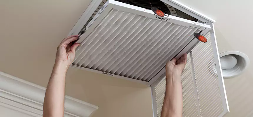 Our Insect Removal from Air Ducts Services in Atascocita, TX