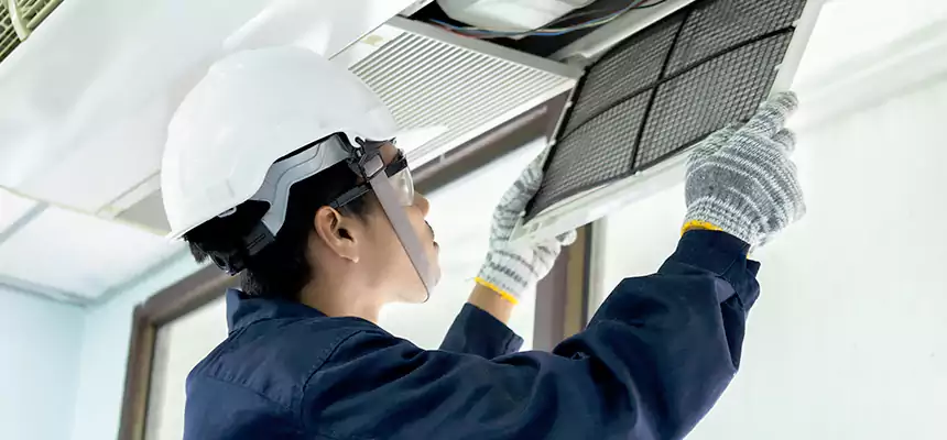 Our Mold & Mildew Removal from Air Ducts Services in Atascocita, TX