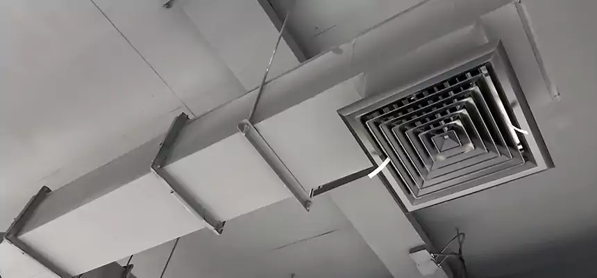 Our Rodent Droppings In Vents Services in Atascocita, TX