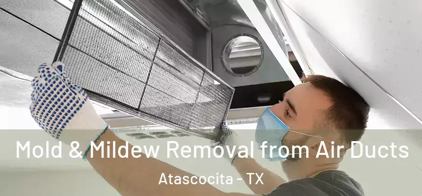Mold & Mildew Removal from Air Ducts Atascocita - TX