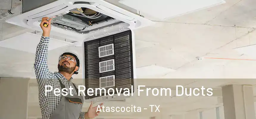 Pest Removal From Ducts Atascocita - TX