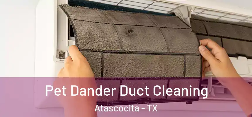 Pet Dander Duct Cleaning Atascocita - TX
