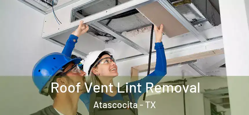 Roof Vent Lint Removal Atascocita - TX