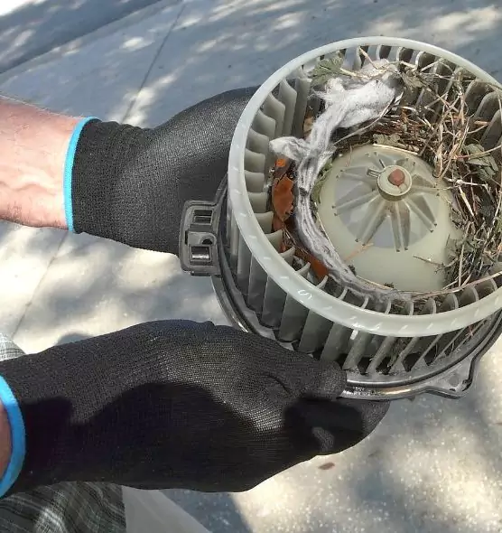 About Air Duct Rat Removal in Atascocita, TX