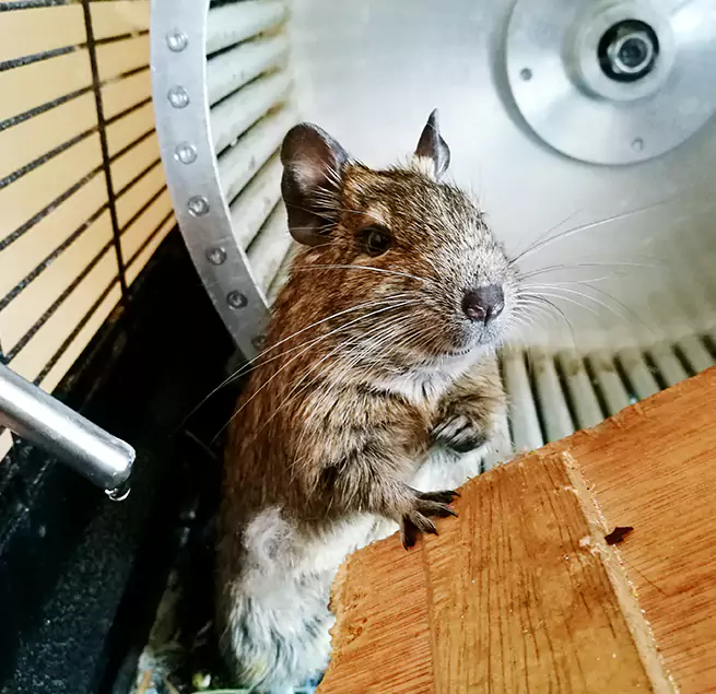 Why Homeowners & Businesses Trust Us Atascocita, TX