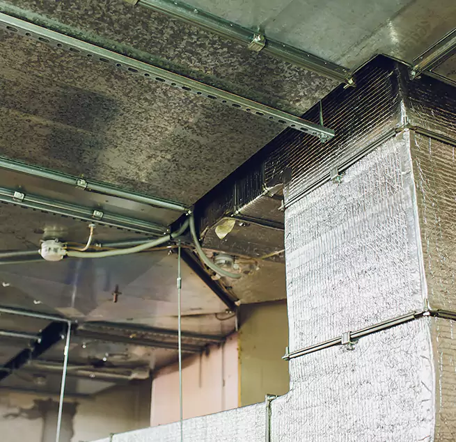 Why Homeowners & Businesses Trust Us in Atascocita, TX?